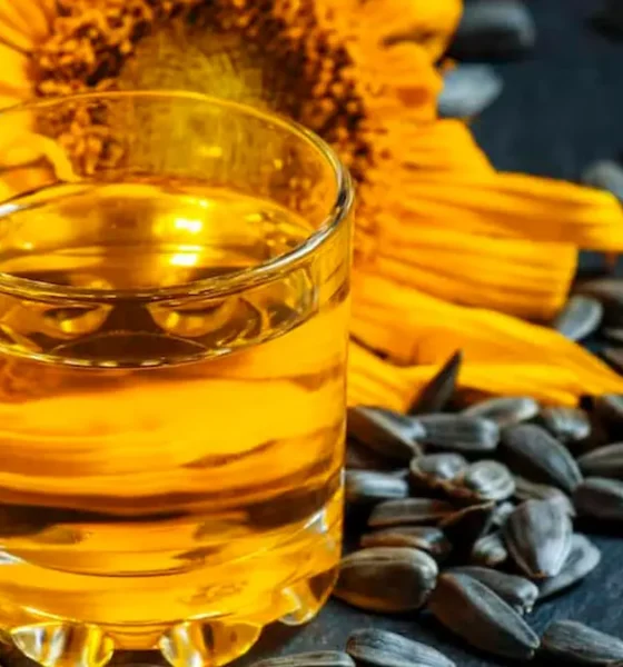 Exportaciones de aceite de girasol Argentina
